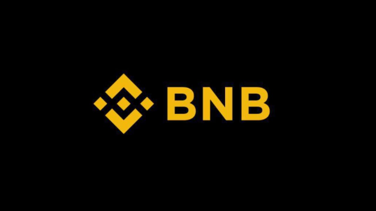 Binance Coin (BNB)