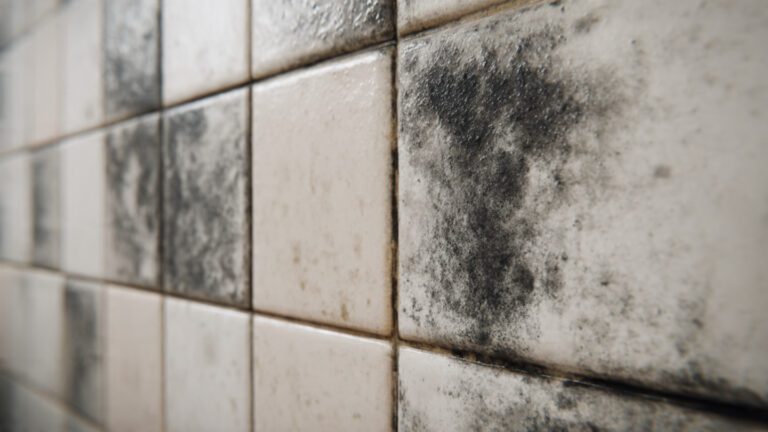 How to clean the joints between tiles