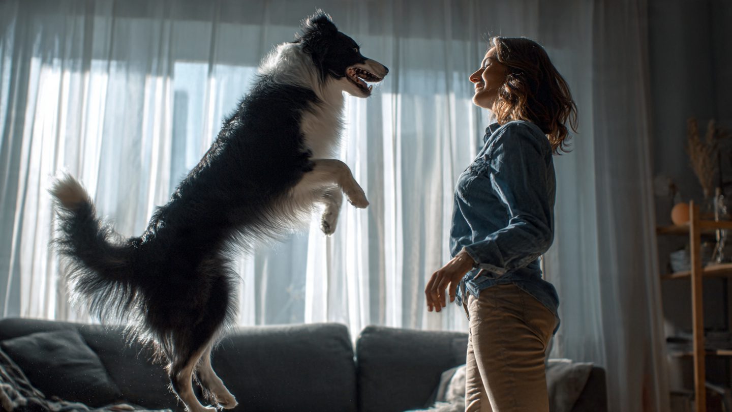 How to stop your dog from jumping on people