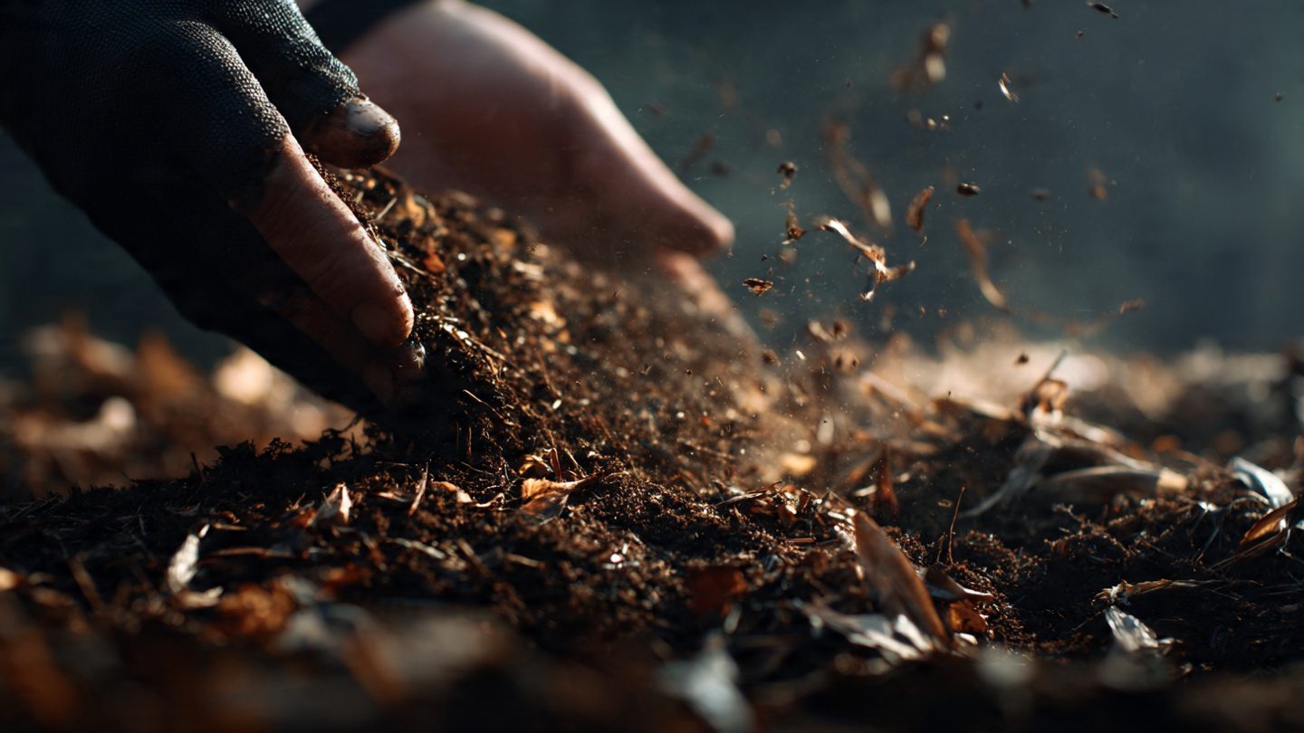 How to make soil more fertile 4 How to make soil more fertile 3
